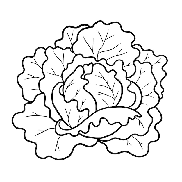 Premium vector collard greens vegetables cartoon cute kawaii doodle coloring page drawing illustration clipart