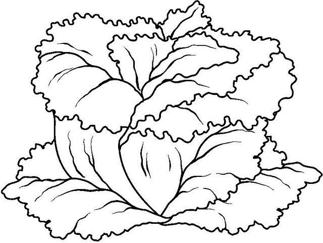 Vegetables coloring pages crafts and worksheets for preschooltoddler and kindergarten bianco e nero artisti famosi disegni da colorare