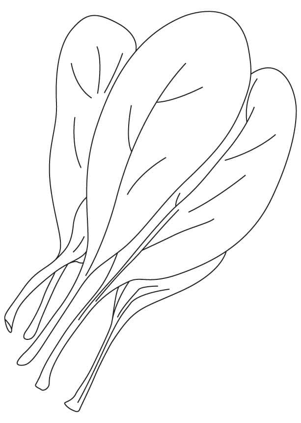 Very good spinach coloring page