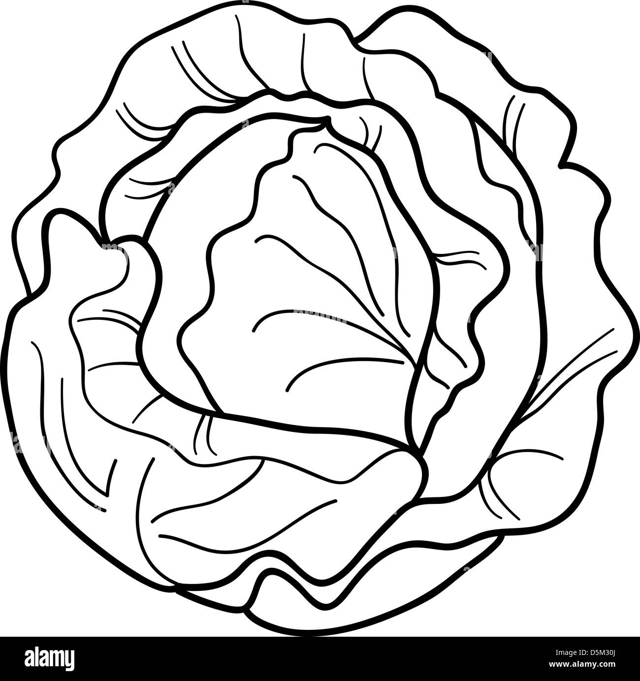 Black and white cartoon illustration of cabbage or lettuce for coloring book stock photo