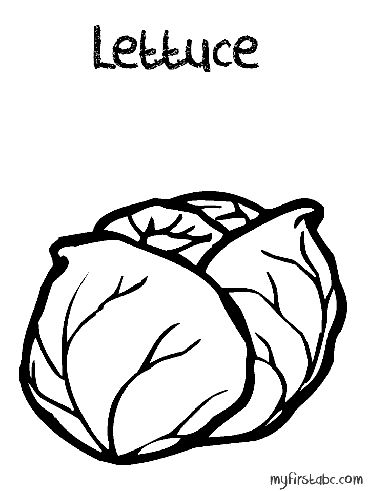 Lettuce coloring sheets