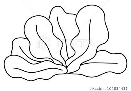 Vector black and white seaweeds icon under the