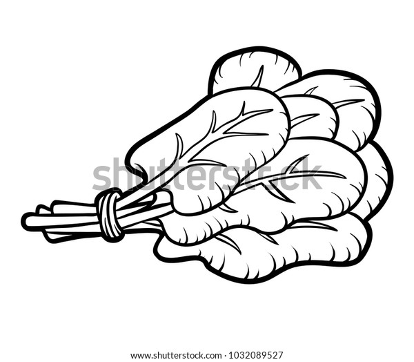 Coloring book children spinach stock vector royalty free