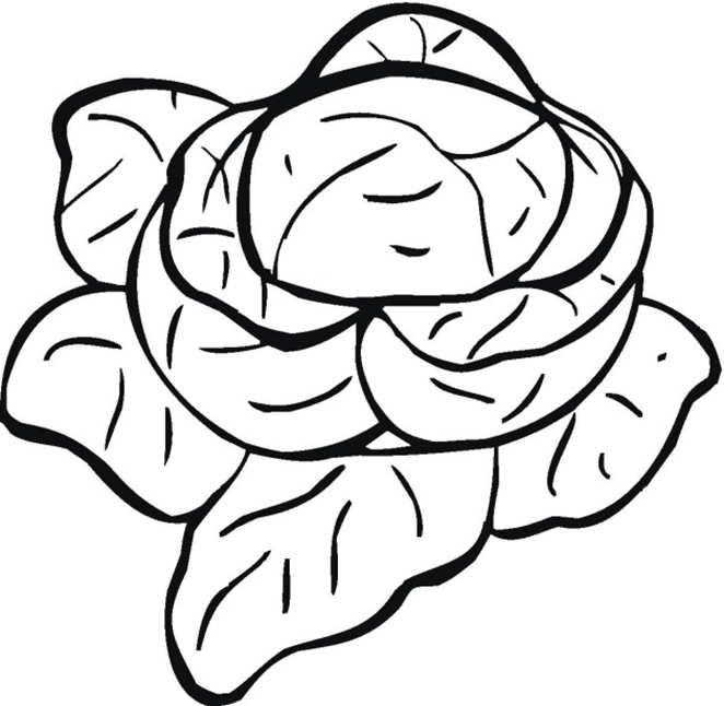 Vegetable coloring pages