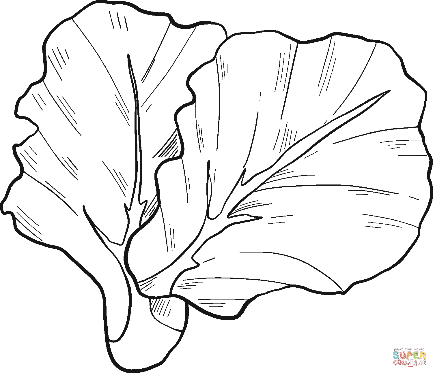 Lettuce coloring page free printable coloring pages