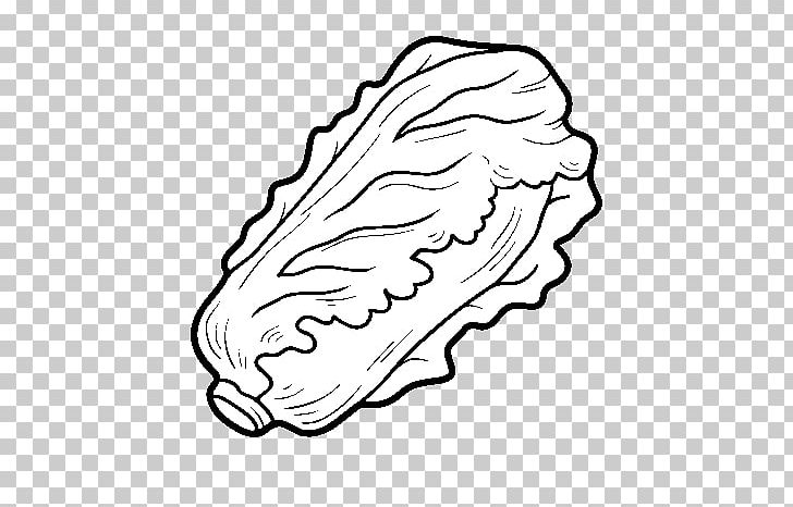 Coloring book romaine lettuce vegetable hamburger drawing png clipart arm black black and white coloring book