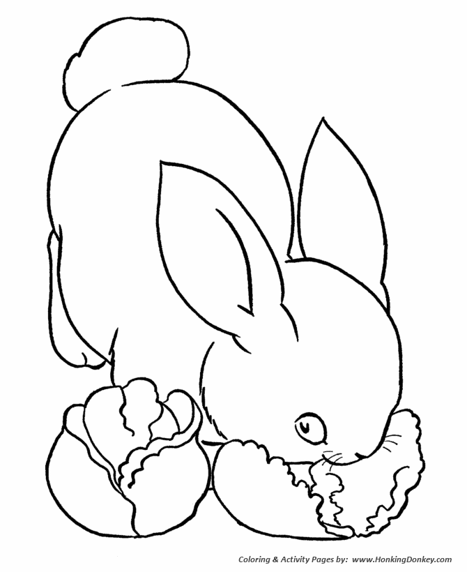 Farm animal coloring pages printable bunny rabbit eating lettuce coloring page and kids activity sheet