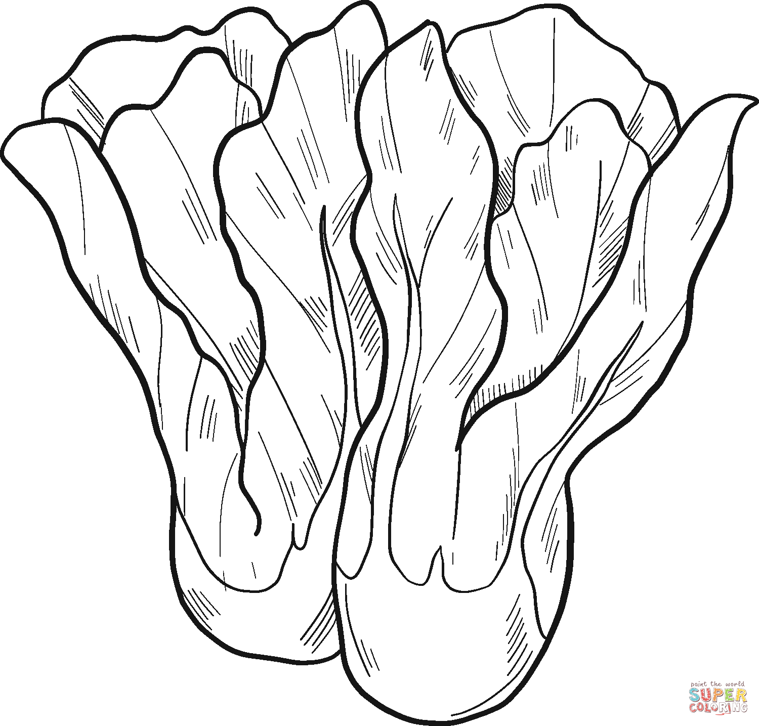 Lettuce coloring page free printable coloring pages