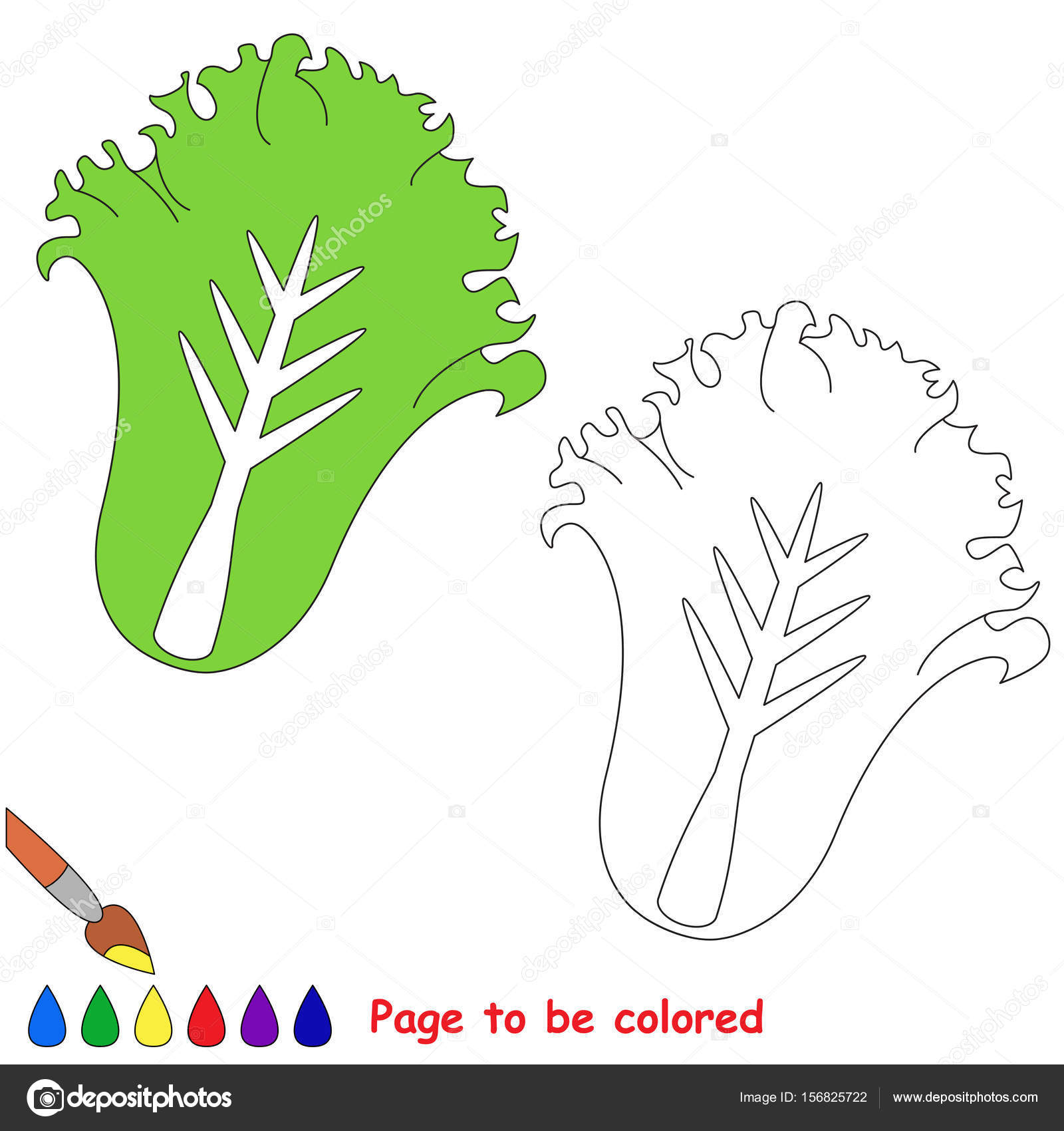 Green lettuce colored coloring book preschool kids easy educational gaming stock vector by annamikhailova