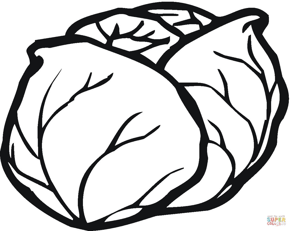 Lettuce coloring page free printable coloring pages