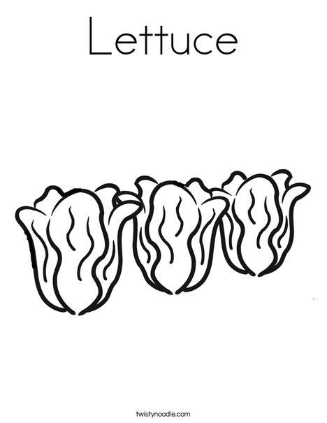 Lettuce coloring page vegetable coloring pages coloring pages apple coloring pages