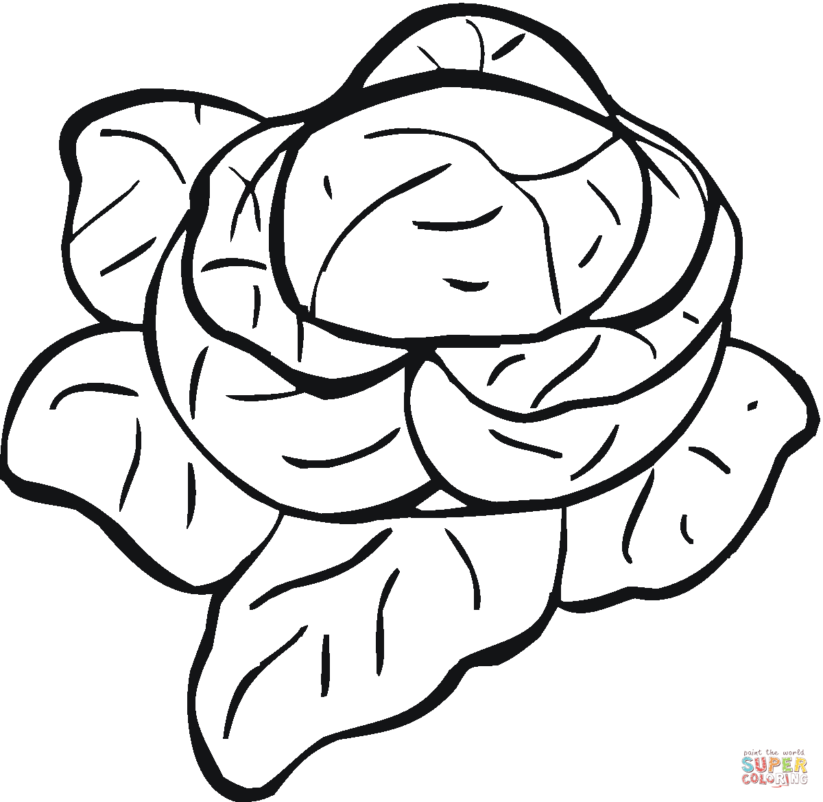 Lettuce coloring page free printable coloring pages