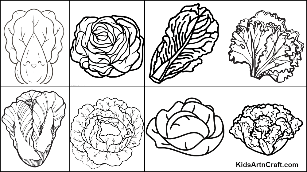 Lettuce coloring pages for kids â free printables