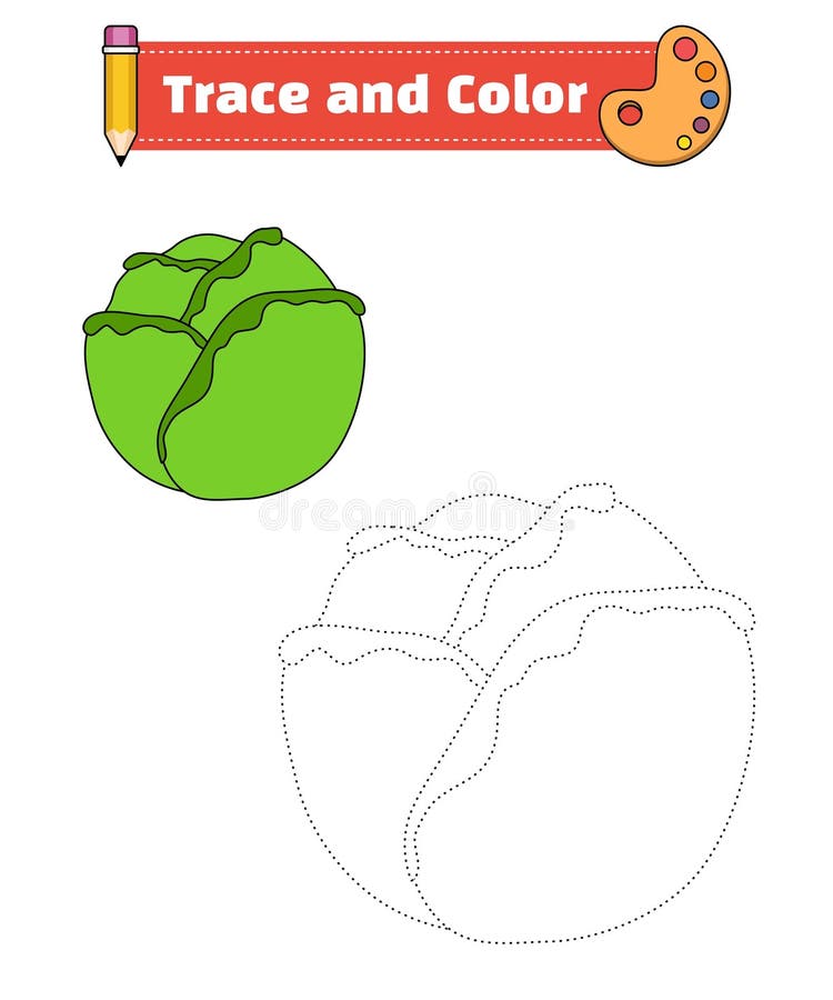 Lettuce coloring stock illustrations â lettuce coloring stock illustrations vectors clipart