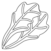 Lettuce coloring pages free coloring pages