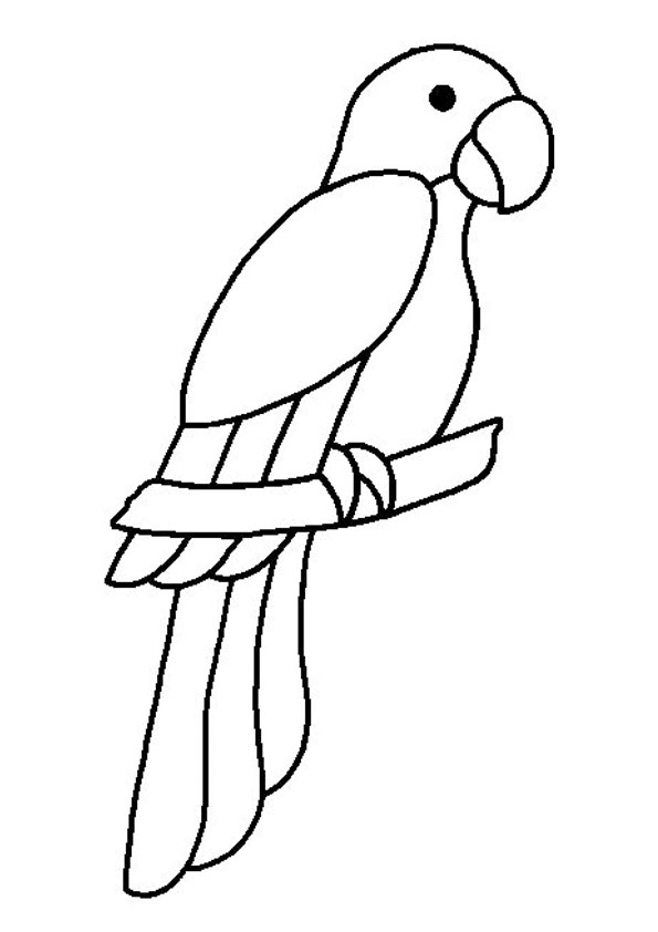 Coloring pages simple drawing parrot coloring pages for kids