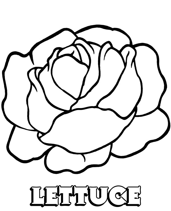 Lettuce printable coloring page for prechooler