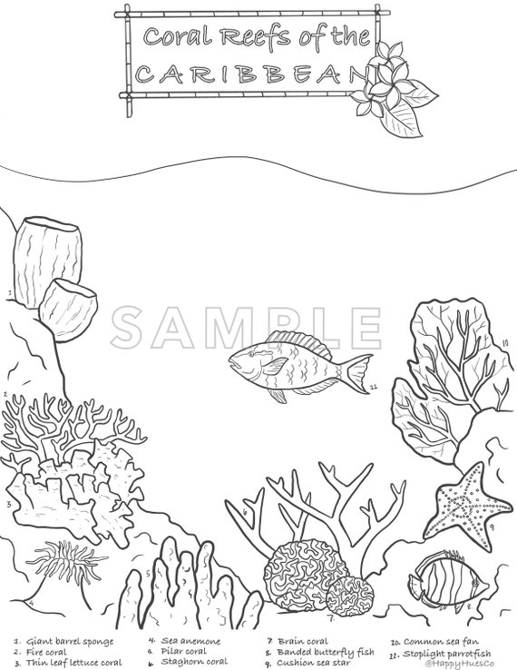 Coral reef ocean coloring pages digital download educational adults and kids print instantly