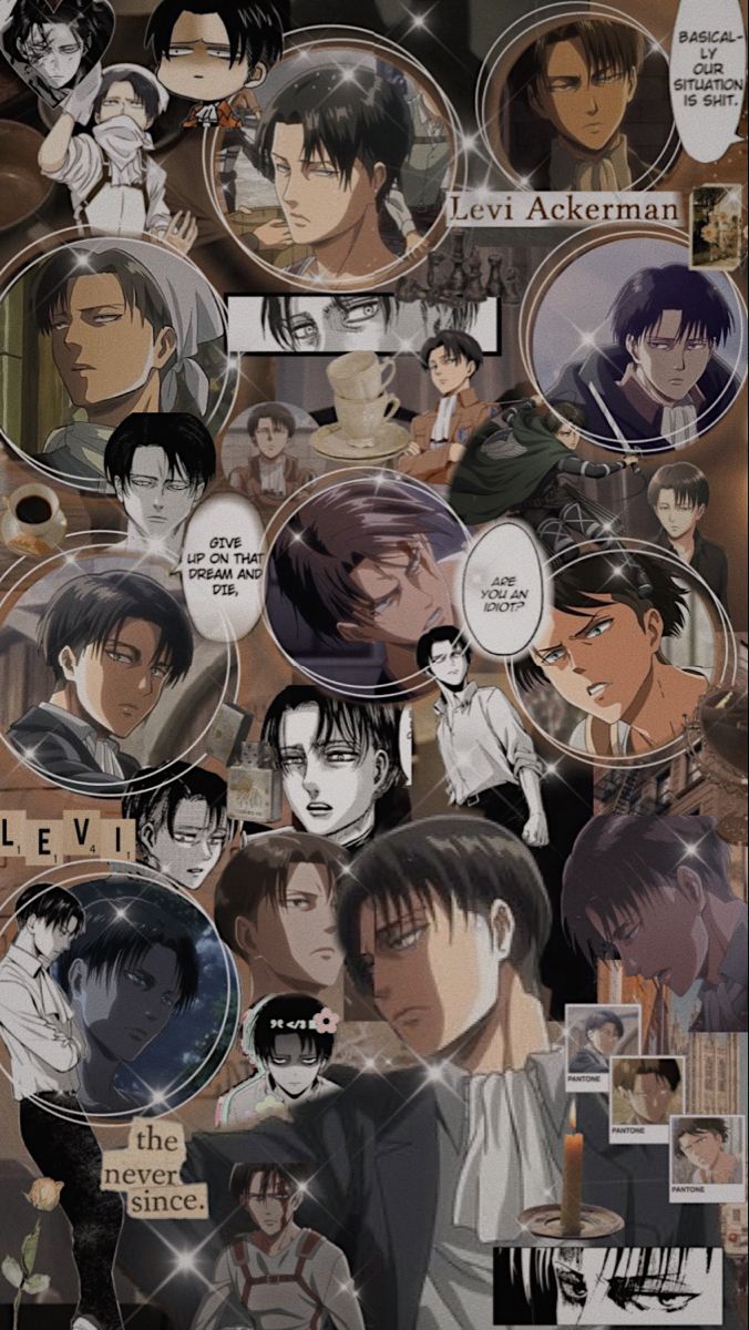 Levi ackerman aesthetic wallpaper levi ackerman anime wallpaper cute anime wallpaper