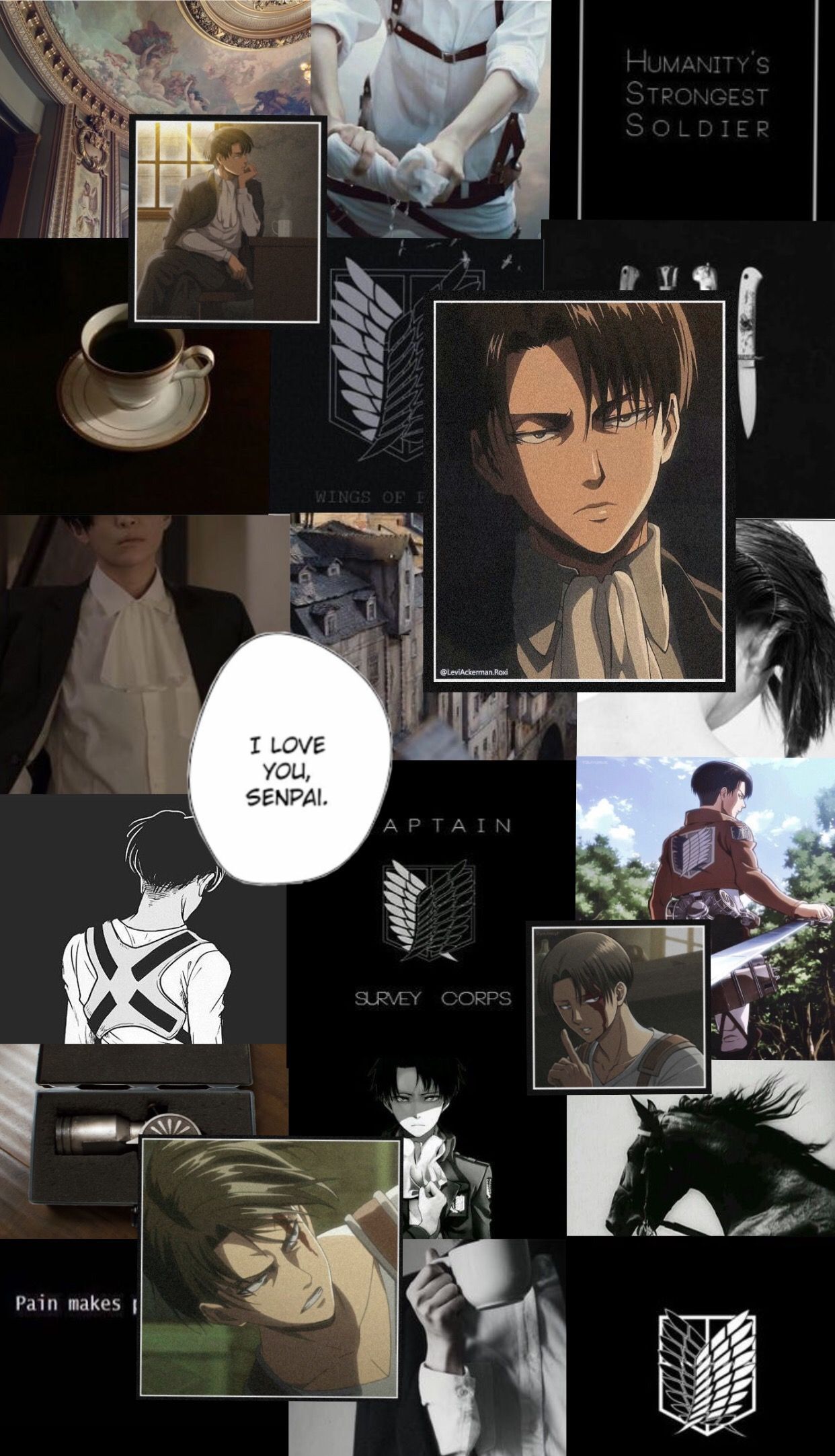 Cute levi wallpapers