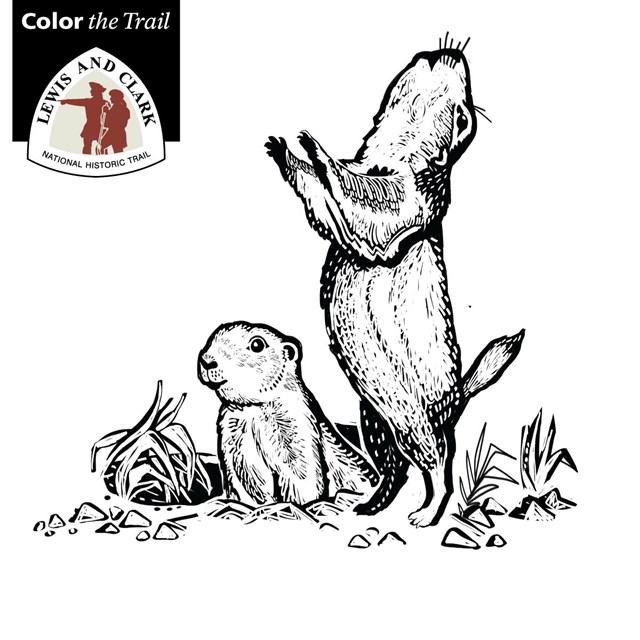 Color the trail animals of lewis and clark us national park service