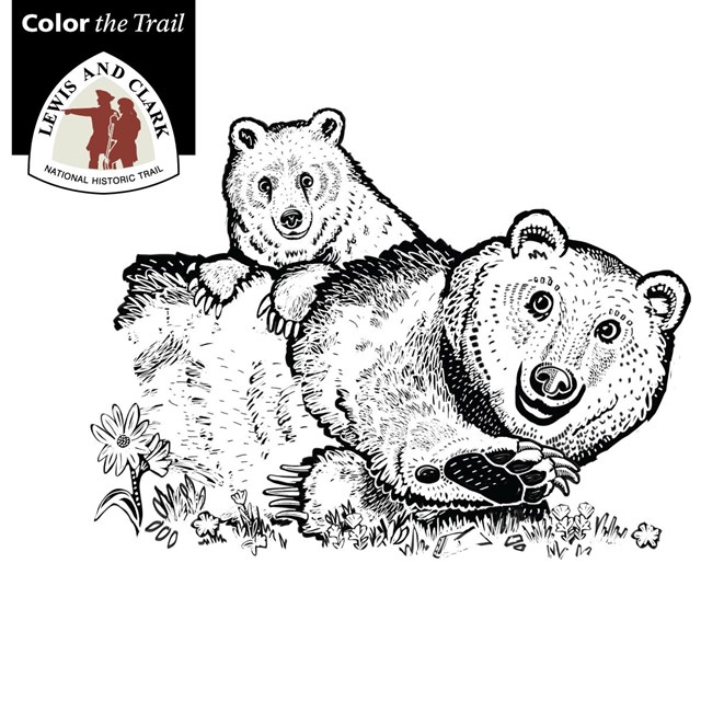 Color the trail animals of lewis and clark us national park service