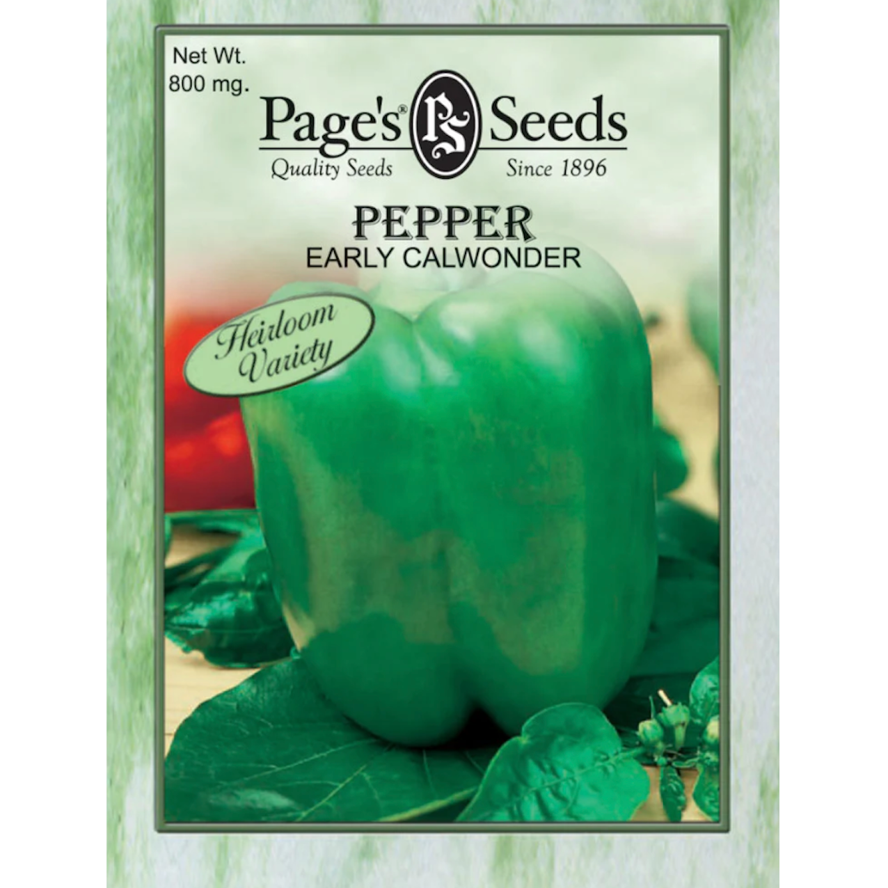 Pepper early calwonder â mandy spring farm nursery inc