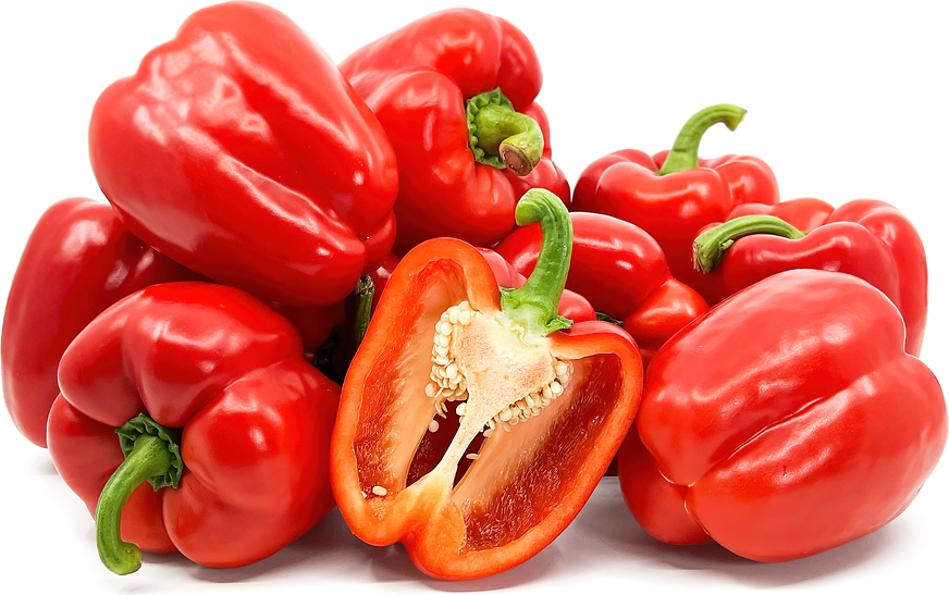 Red holland bell peppers information and facts