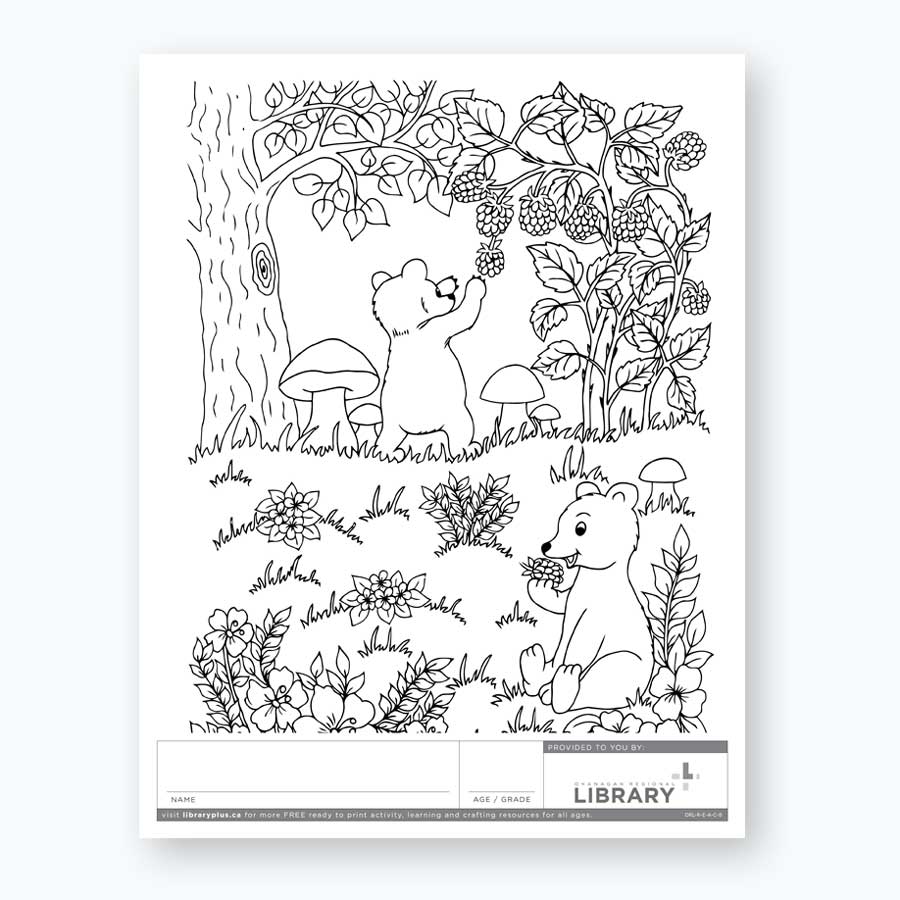 Colouring sheet â library plus