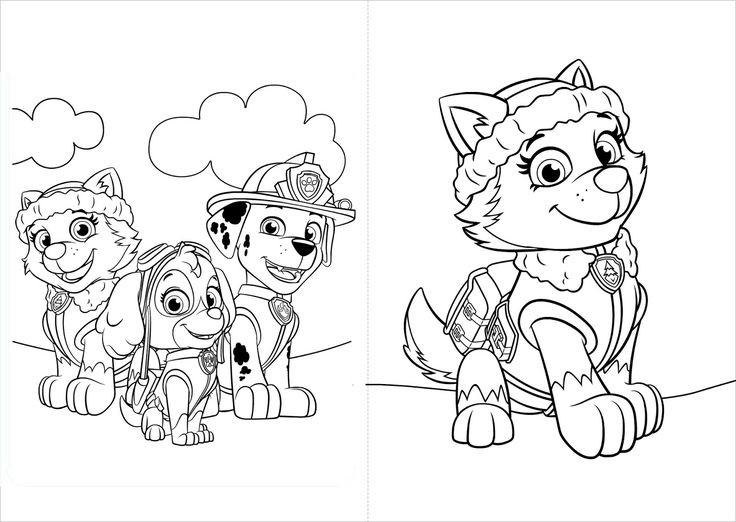 Paw patrol libro pa colore pa imprimir gratis