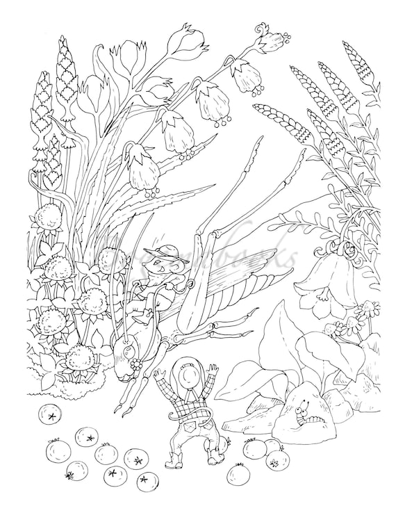 Nice little town adult coloring book coloring pages pdf coloring pages printable for stress relieving for relaxation instant download