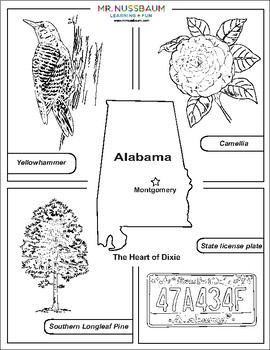 State symbols color