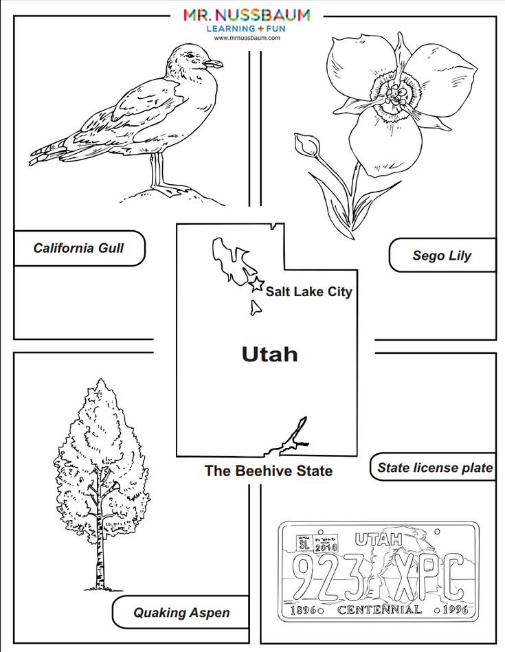 This awesome coloring activities allows students to design utahs state bird flower tree and license plate state symbols utah facts utah national parks map