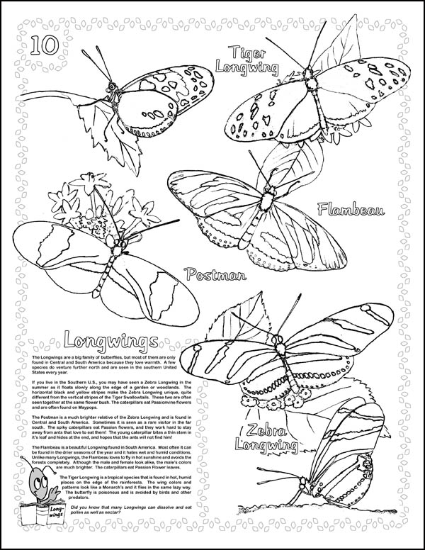 Live monarch butterfly life cycle poster