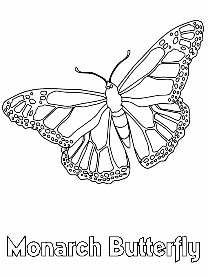 Monarch butterfly coloring book page