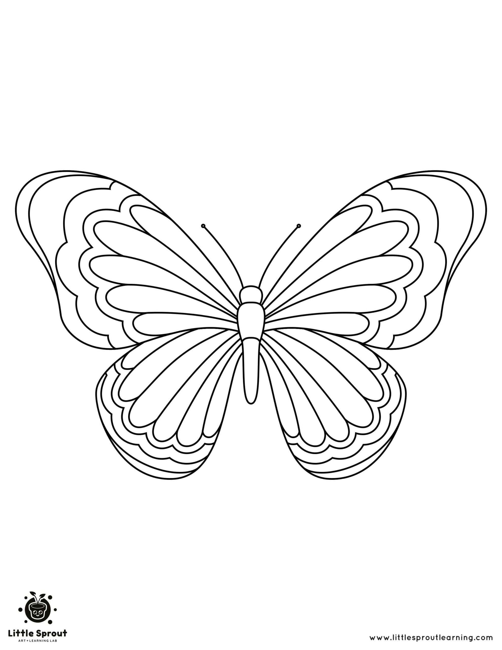 Butterfly coloring pages