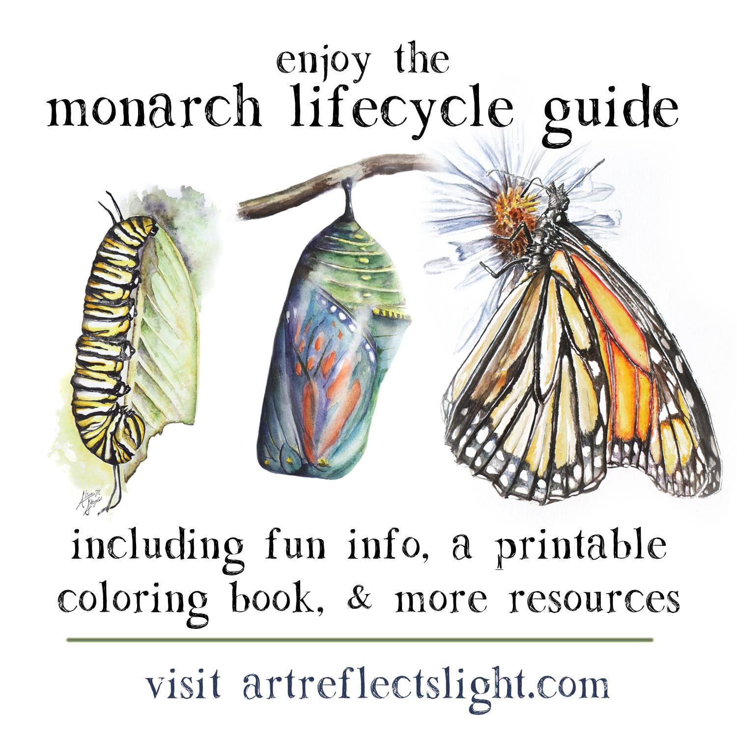 Free monarch butterfly guide and printable coloring book rgardening