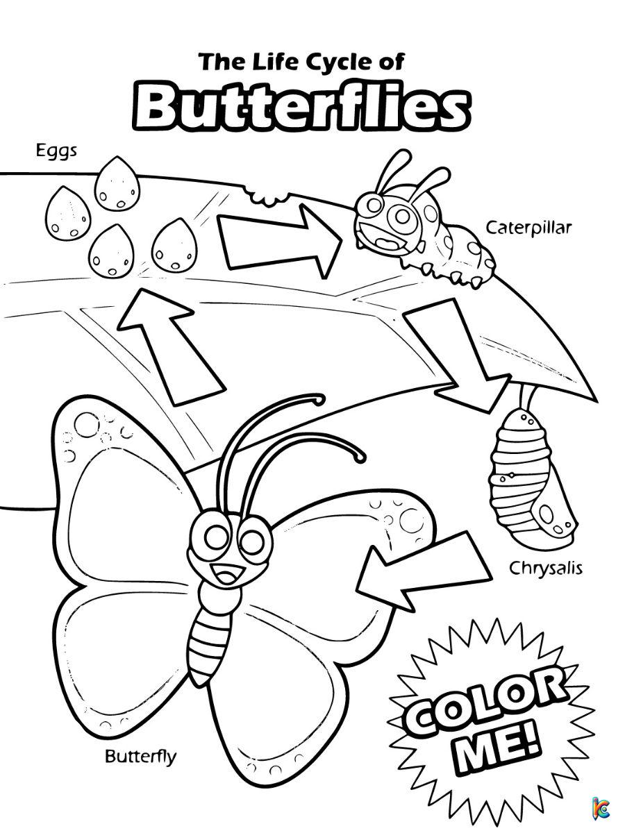 Butterfly coloring pages â