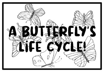 A butterflys life cycle butterfly colorg pages worksheet by swati sharma