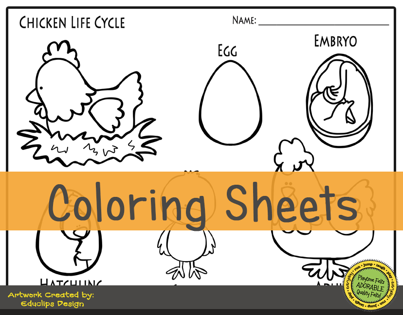 Chicken life cycle storytime activities for preschool