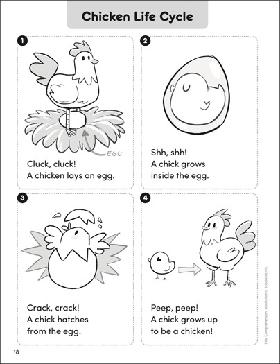 Chicken life cycle first prehensionânonfiction printable skills sheets
