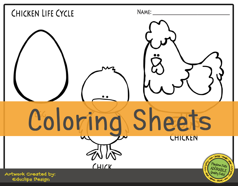 Chicken life cycle storytime activities for preschool