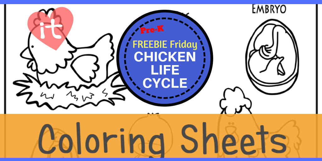 Chicken life cycle freebie friday color sheet