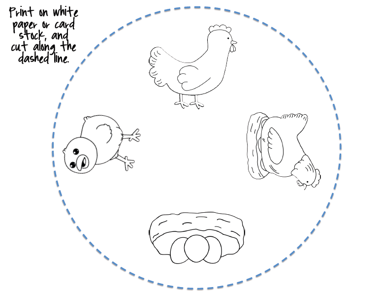 Free life cycle of a chicken coloring crafts and worksheets for preschooltoddler and kindergarten life cycles life cycle craft chicken coloring