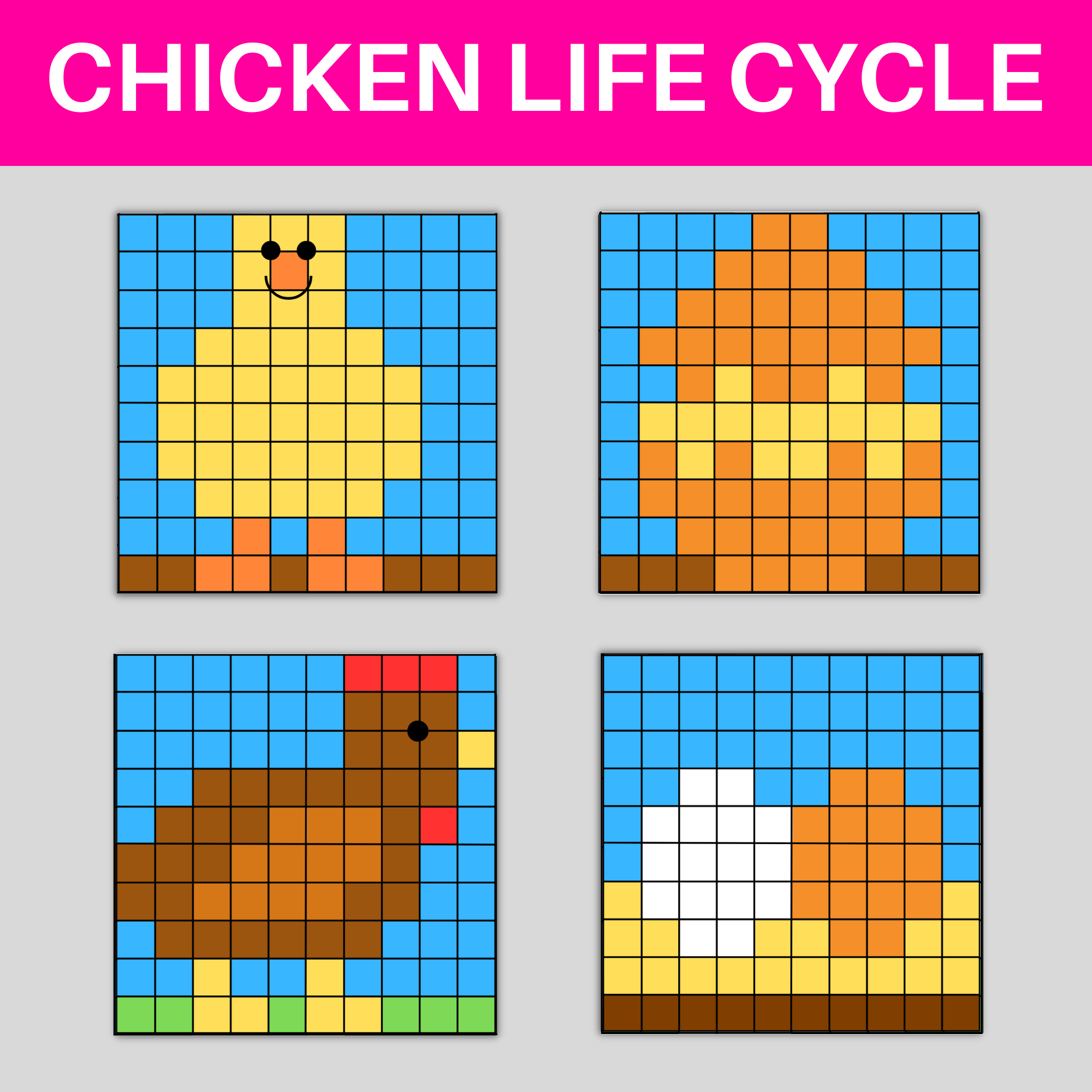 Chicken life cycle hundred chart mystery pictures coloring pages digital print made by teachers