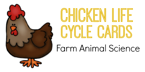 Life cycle of a chicken for kids lesson plan