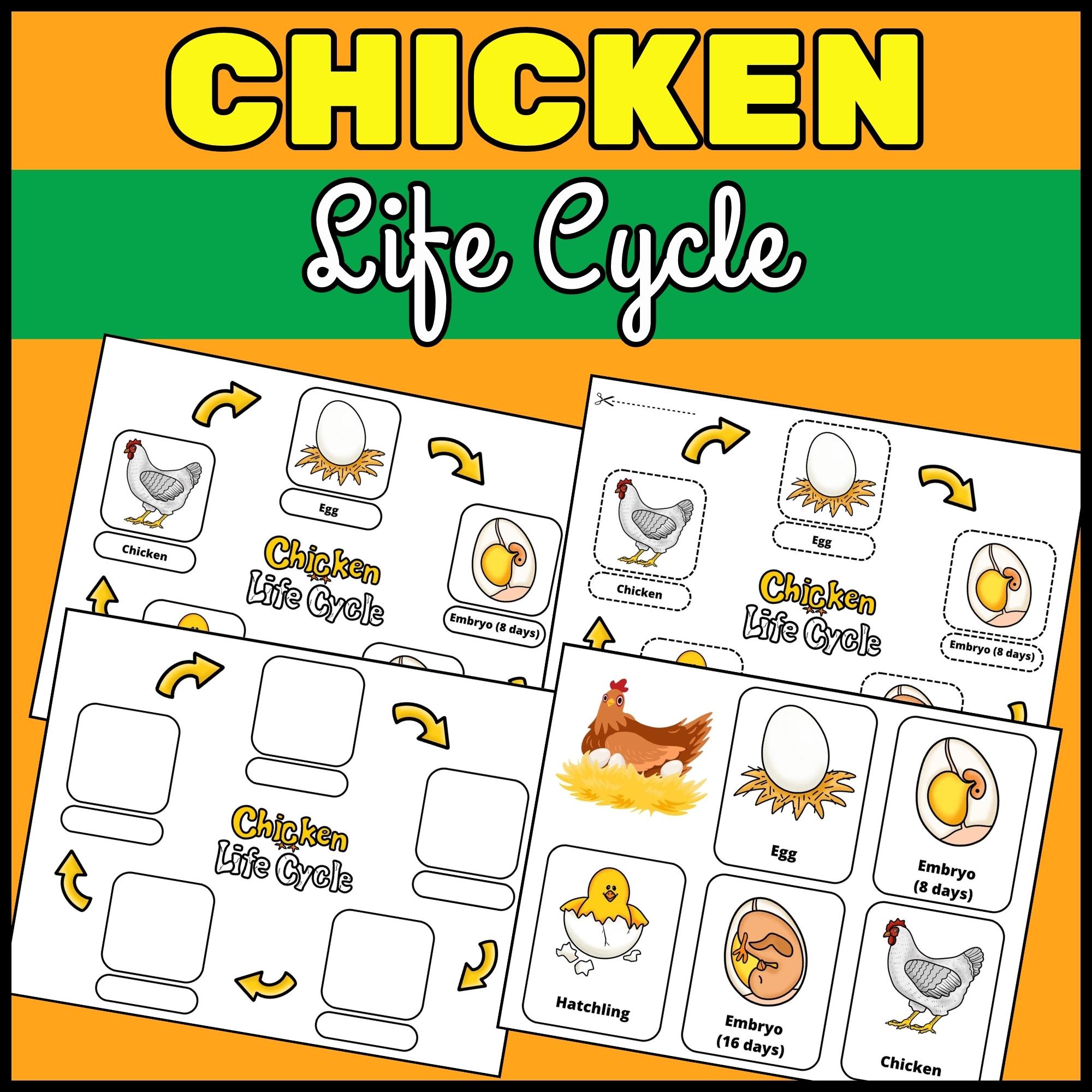 Farm animals activity bundle