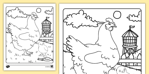 Life cycle of a chicken trace and color activity