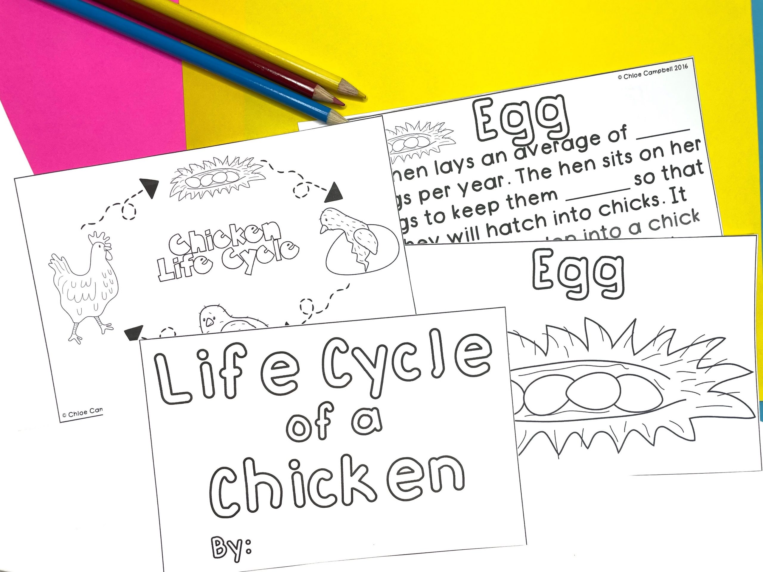 Life cycle activities for kids chloe campbell education