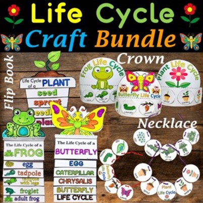 Plant and animal life cycle crafts and activities